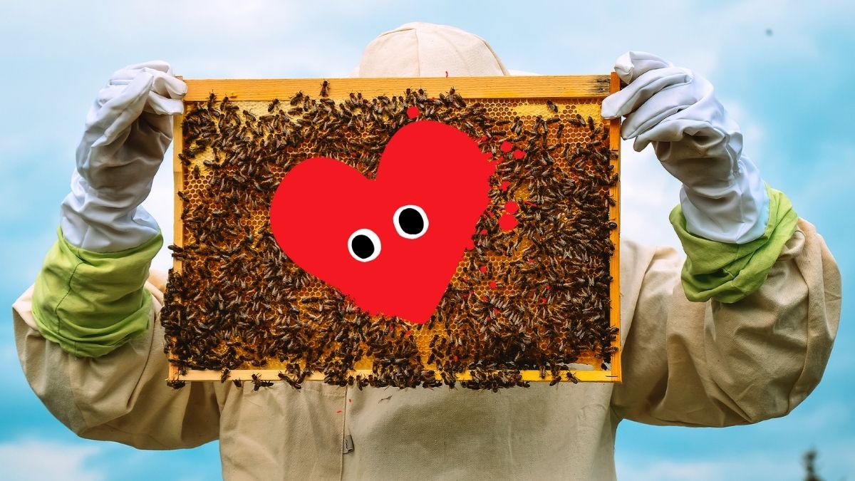 Meme Valentine hài hước mặn mà