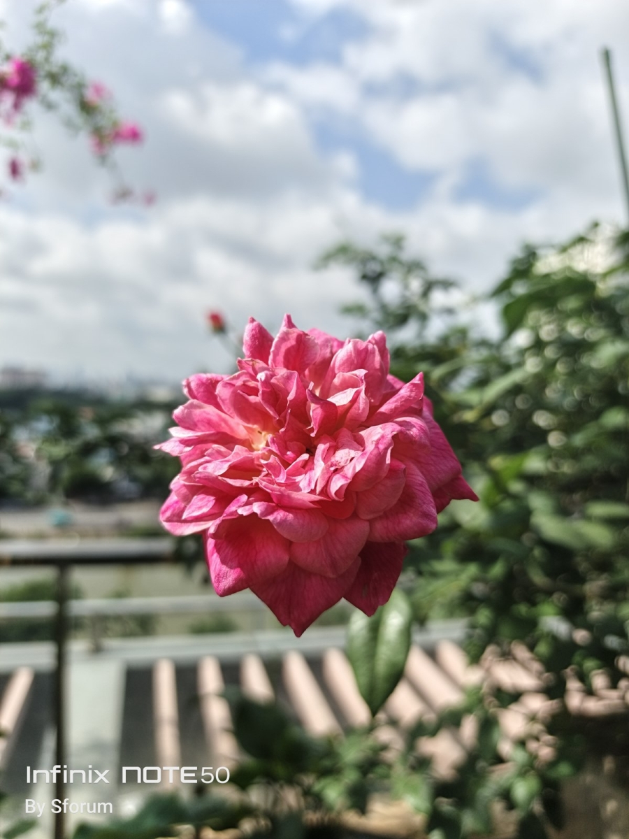 Ảnh chụp đủ sáng trên Infinix Note 50