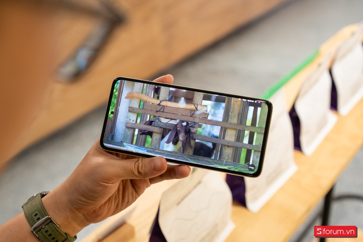 Màu sắc trên Redmi Note 14 cũng hiển thị tươi, rực rỡ vừa đủ, hình ảnh có độ nét cao