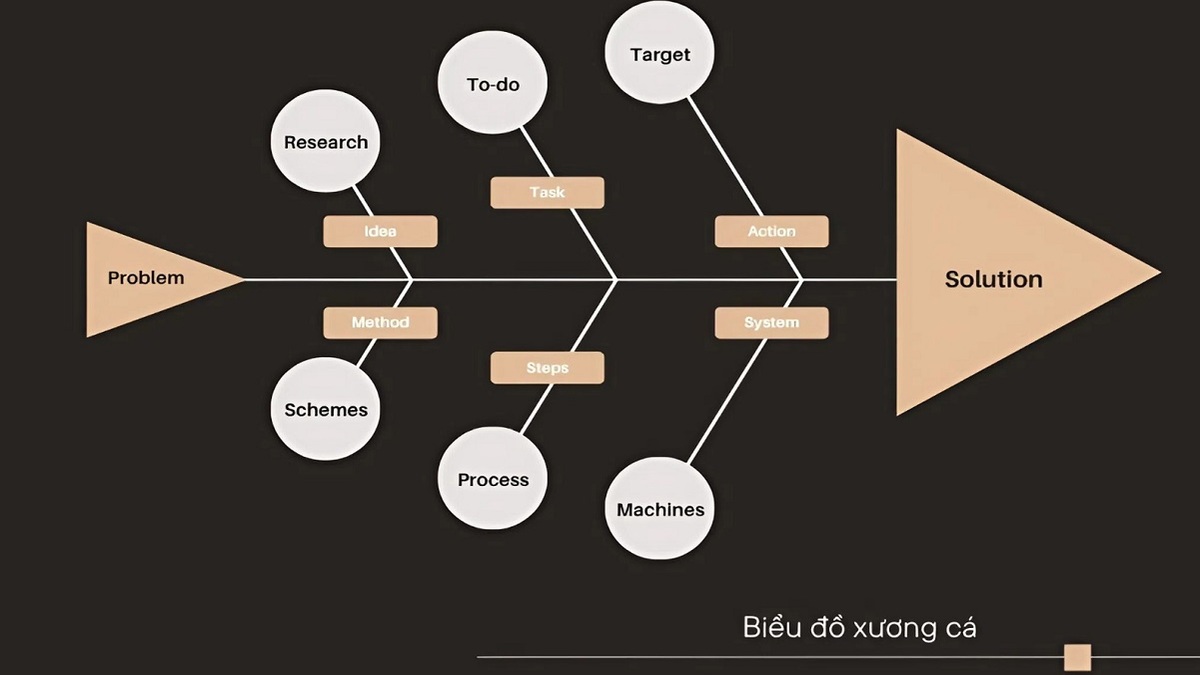 Biểu đồ xương cá