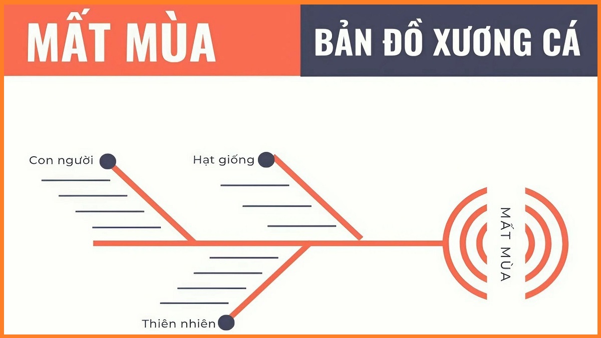 Mẹo và lưu ý khi sử dụng biểu đồ xương cá