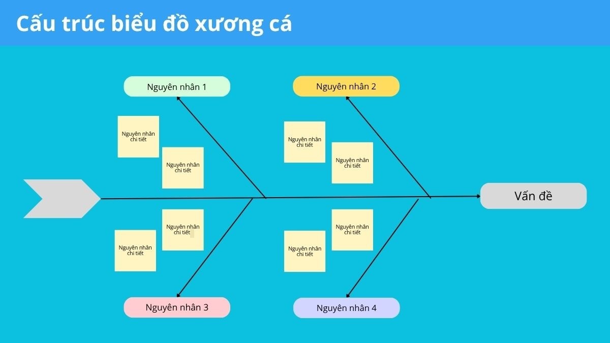 Cấu trúc của biểu đồ xương cá