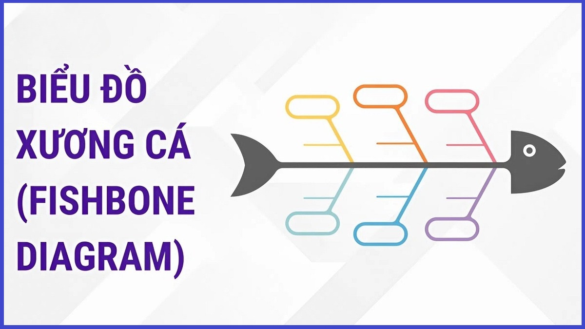 Biểu đồ xương cá là gì? Tìm hiểu cấu trúc và cách ứng dụng Biểu đồ xương cá là gì? Tìm hiểu cấu trúc và cách ứng dụng