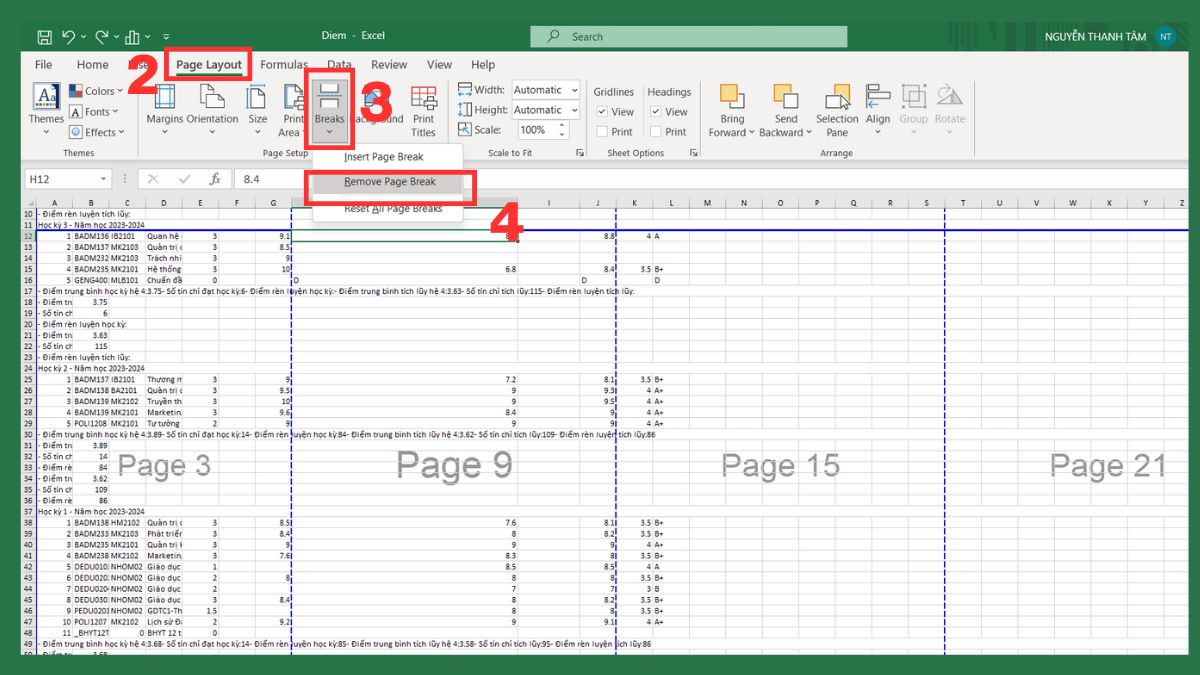 Hướng dẫn bỏ đường kẻ chia trang trong Excel 8