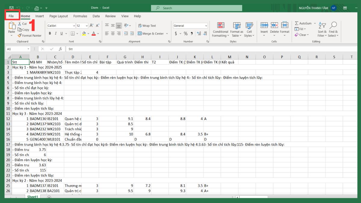 Cách bật lại đường kẻ chia trang Excel khi cần thiết 1