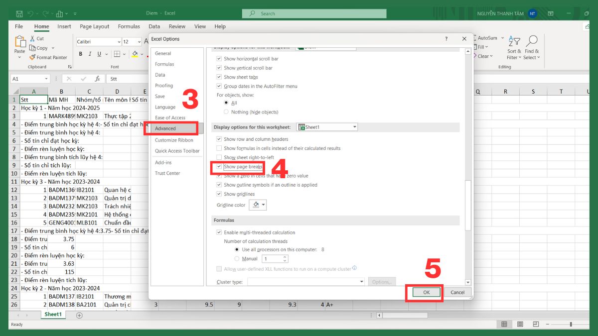 Cách bật lại đường kẻ chia trang Excel khi cần thiết 3