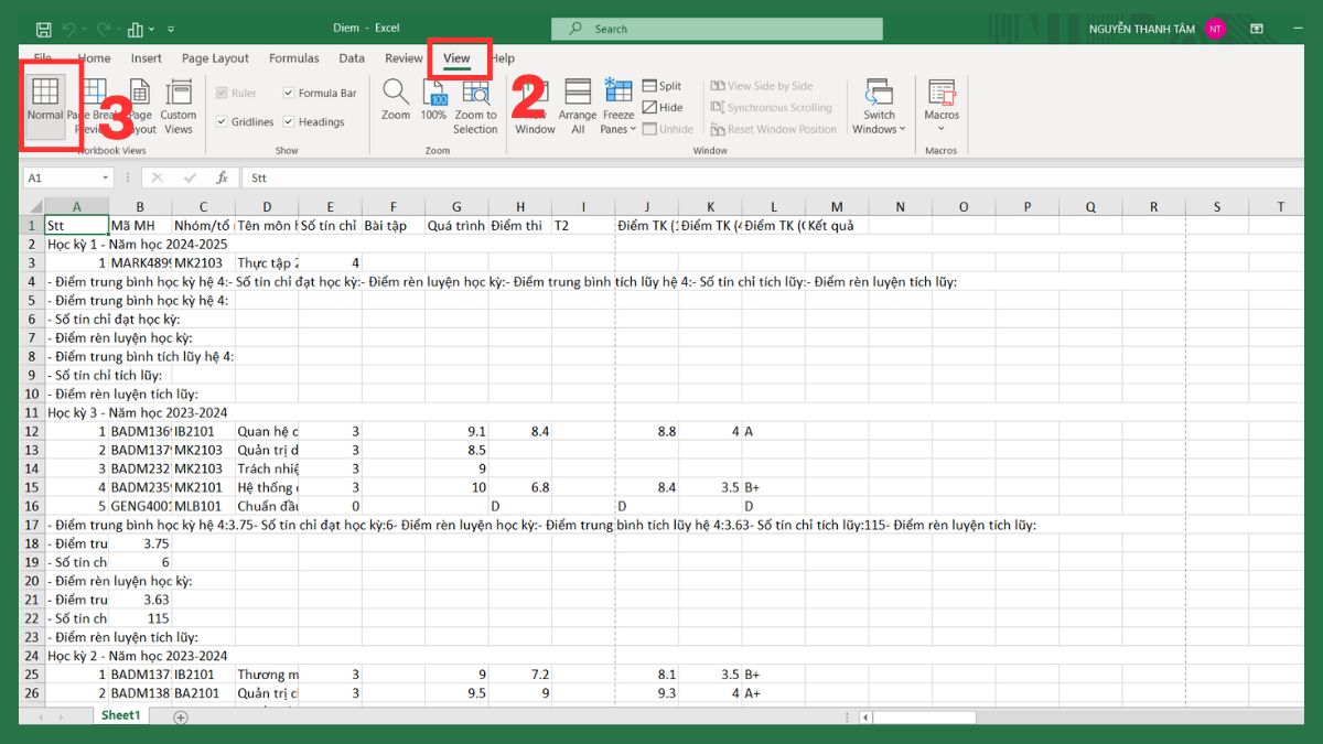 Hướng dẫn bỏ đường kẻ chia trang trong Excel 2