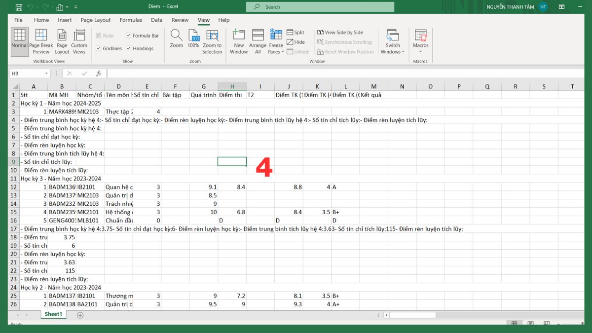 Hướng dẫn bỏ đường kẻ chia trang trong Excel 3