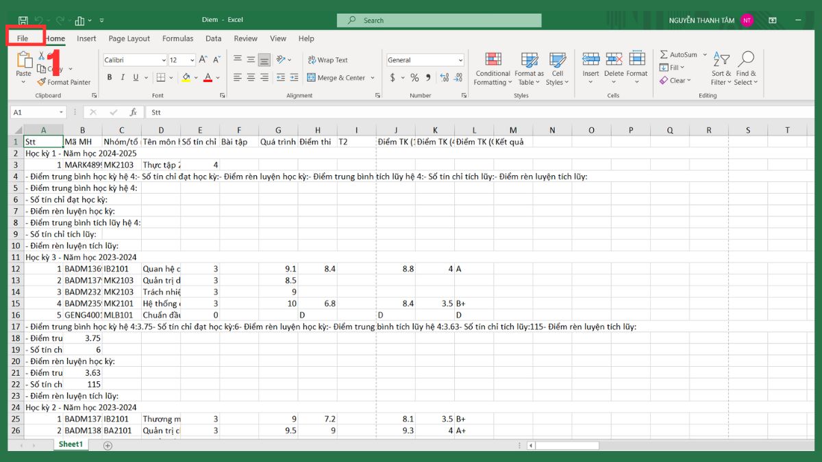Hướng dẫn bỏ đường kẻ chia trang trong Excel 4