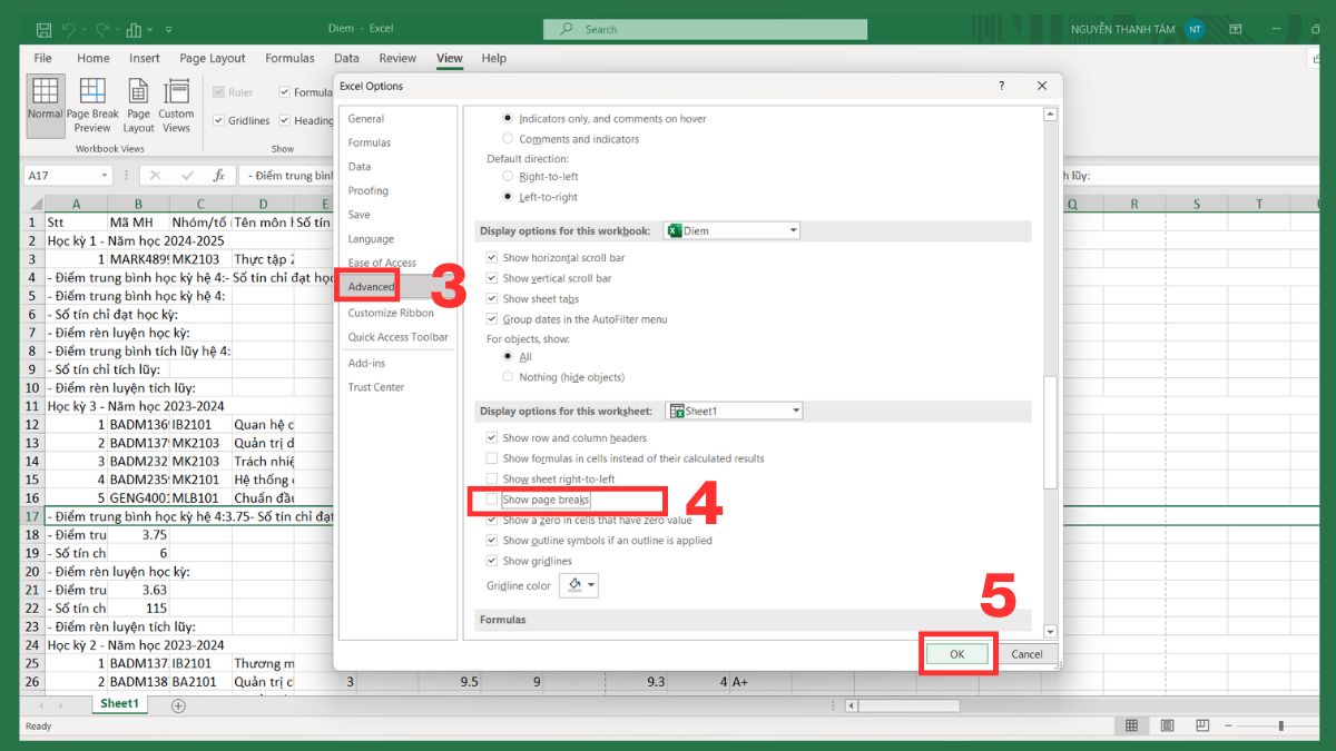 Hướng dẫn bỏ đường kẻ chia trang trong Excel 6