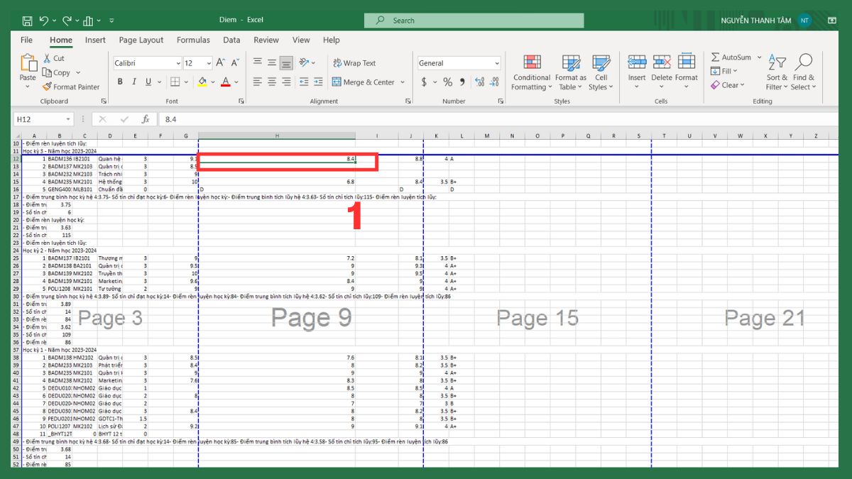 Hướng dẫn bỏ đường kẻ chia trang trong Excel 7