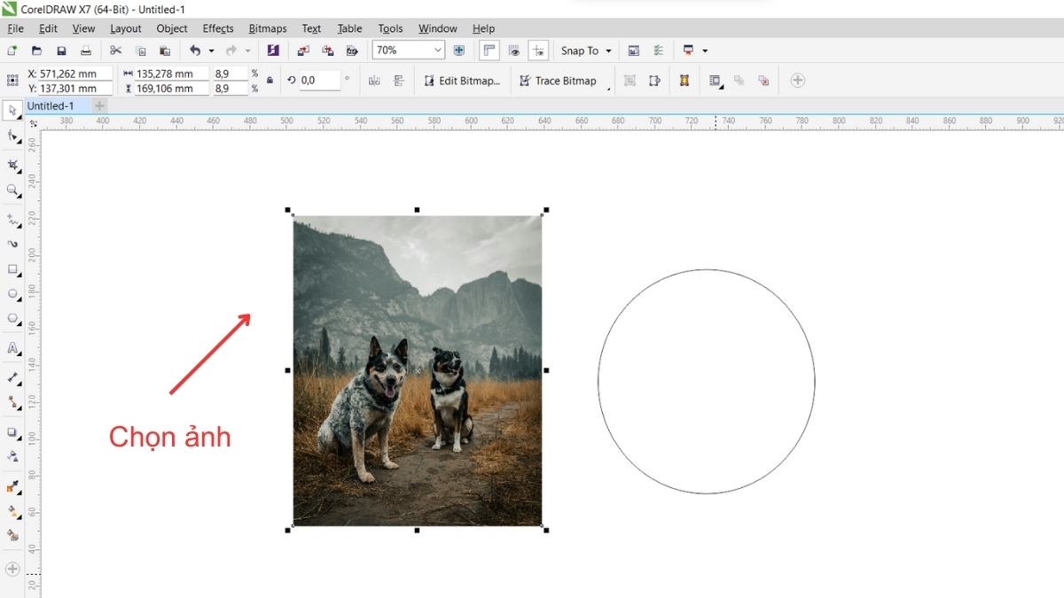 Hướng dẫn 4 cách cắt hình trong Corel cho người mới 10