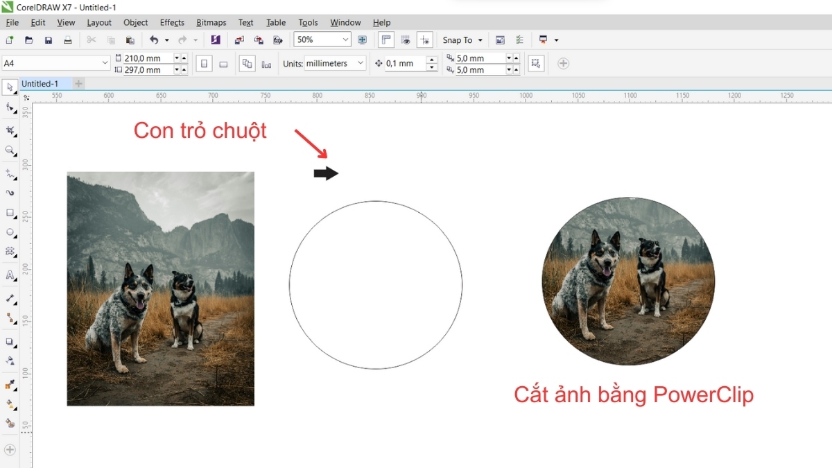 Hướng dẫn 4 cách cắt hình trong Corel cho người mới 12