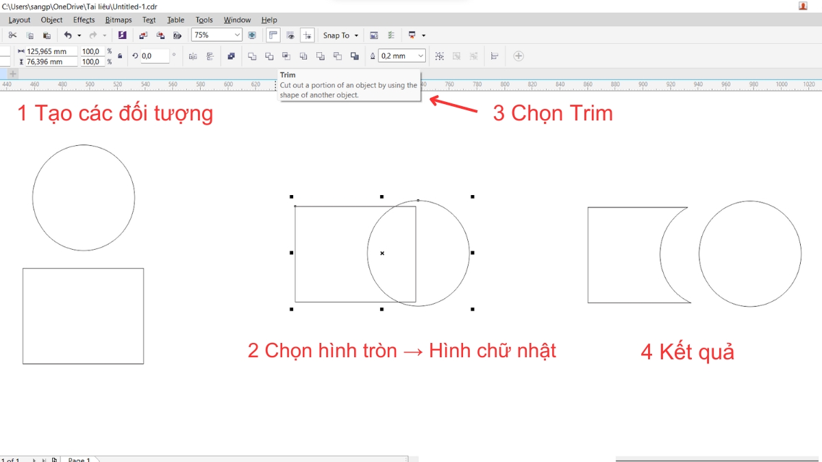 Hướng dẫn 4 cách cắt hình trong Corel cho người mới 14