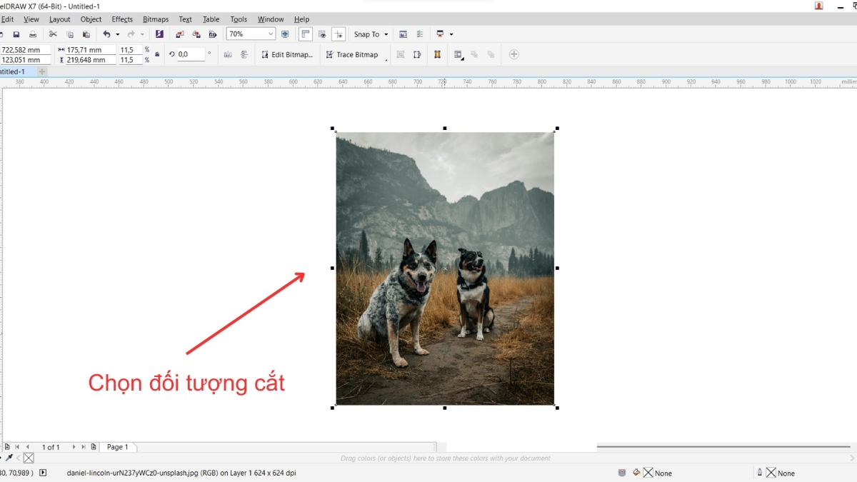 Hướng dẫn 4 cách cắt hình trong Corel cho người mới 5