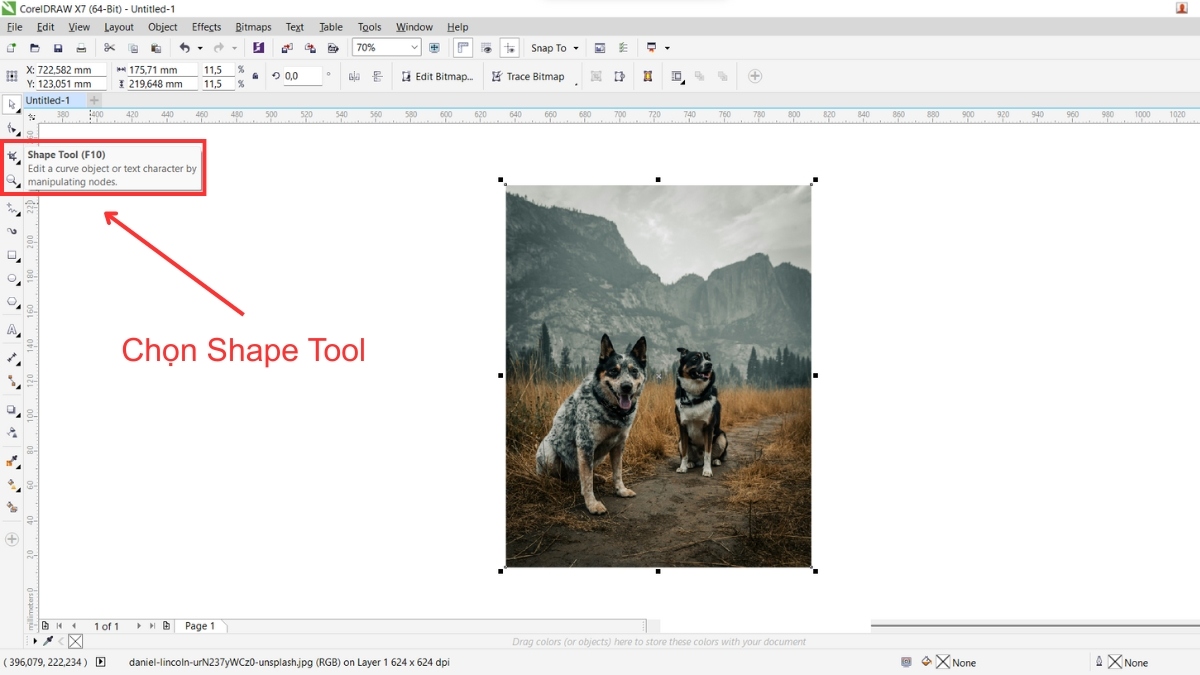 Hướng dẫn 4 cách cắt hình trong Corel cho người mới 6
