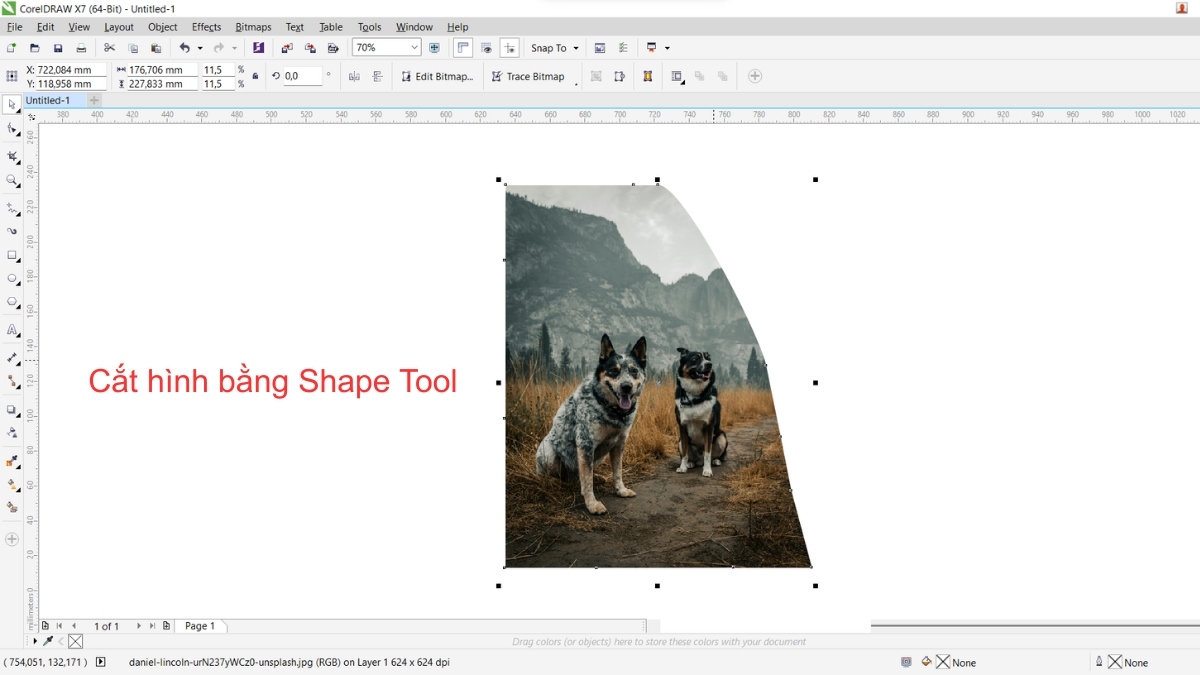 Hướng dẫn 4 cách cắt hình trong Corel cho người mới 8