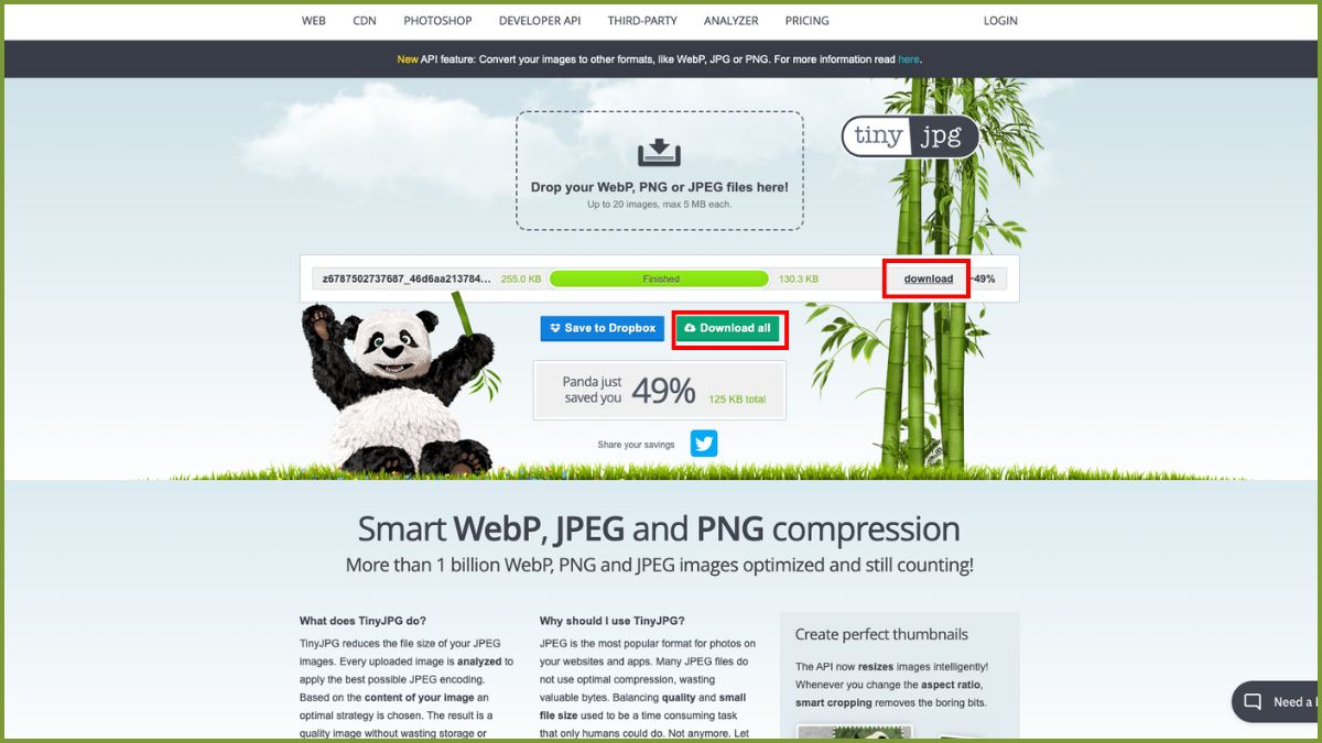 Công cụ giảm dung lượng ảnh JPG online 10