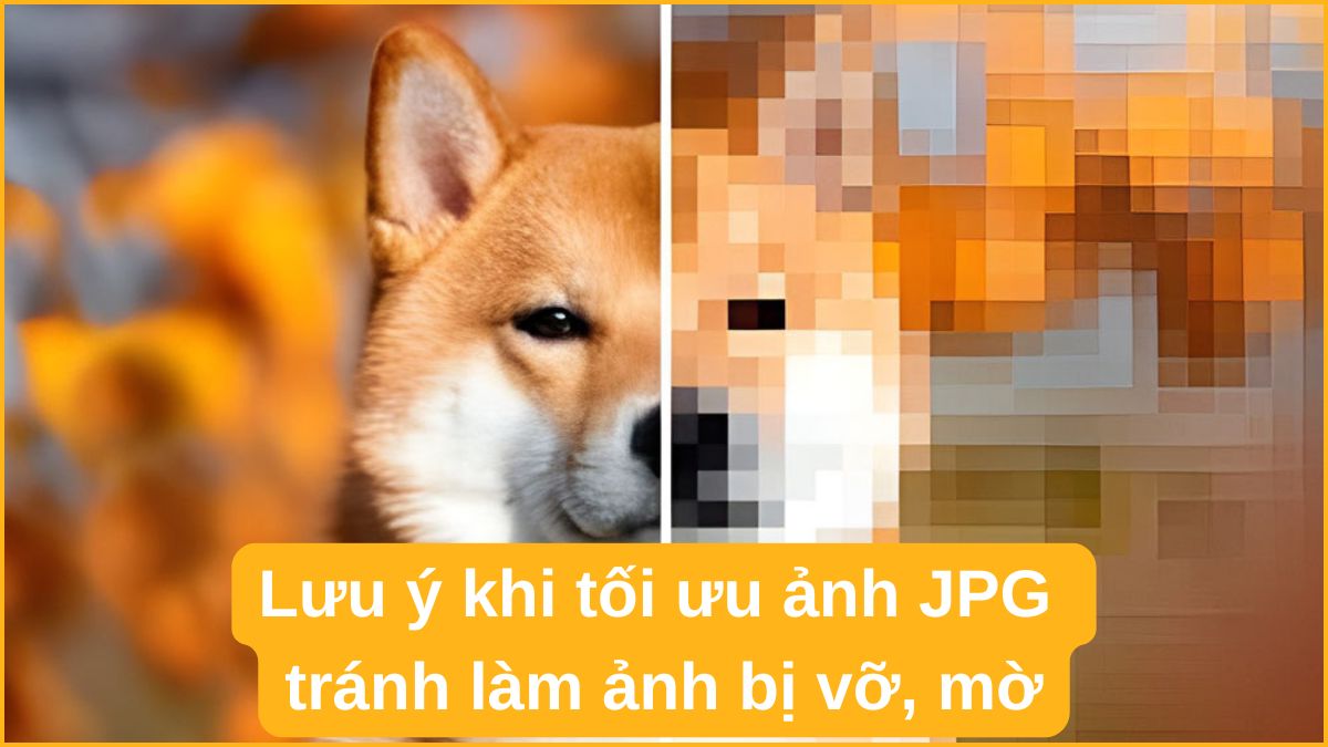 Lưu ý khi tối ưu ảnh JPG tránh làm ảnh bị vỡ, mờ