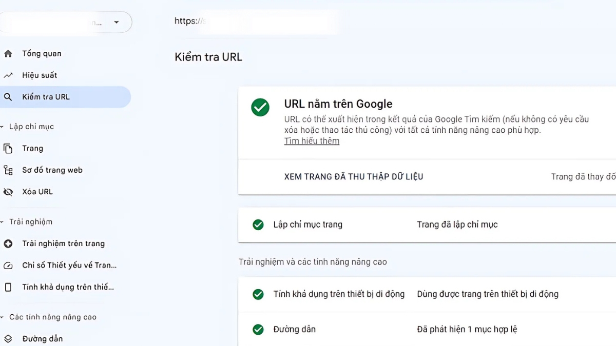Các tính năng chính của Google Search Console 3