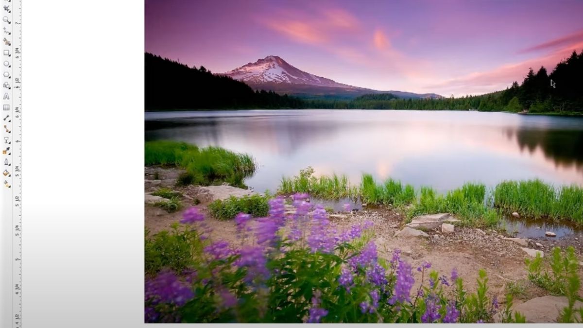 Cách làm mờ ảnh trong Corel bằng Transparency Tool 1