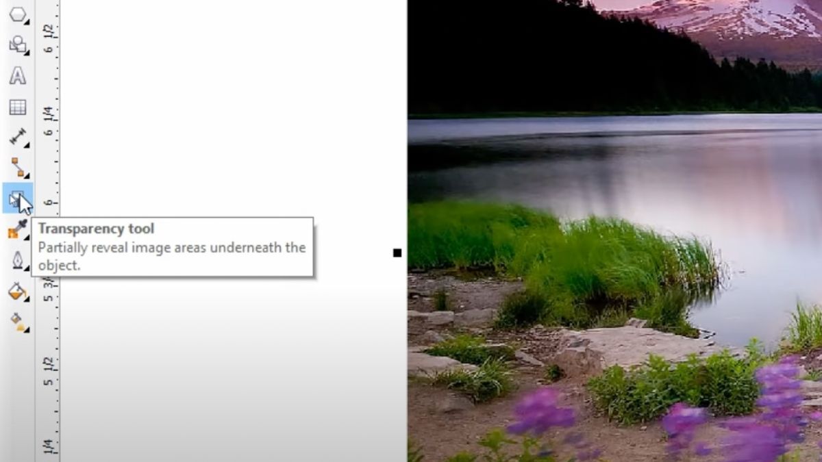Cách làm mờ ảnh trong Corel bằng Transparency Tool 2