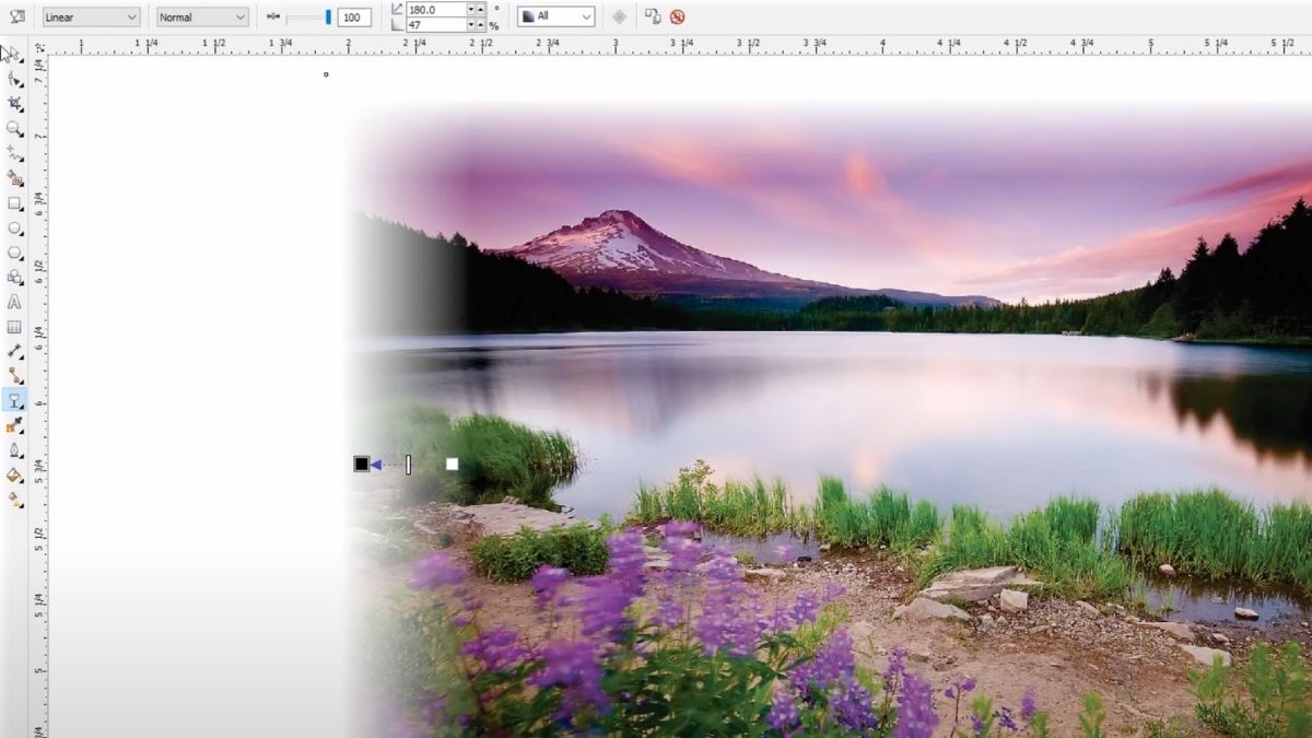 Cách làm mờ ảnh trong Corel bằng Transparency Tool 3