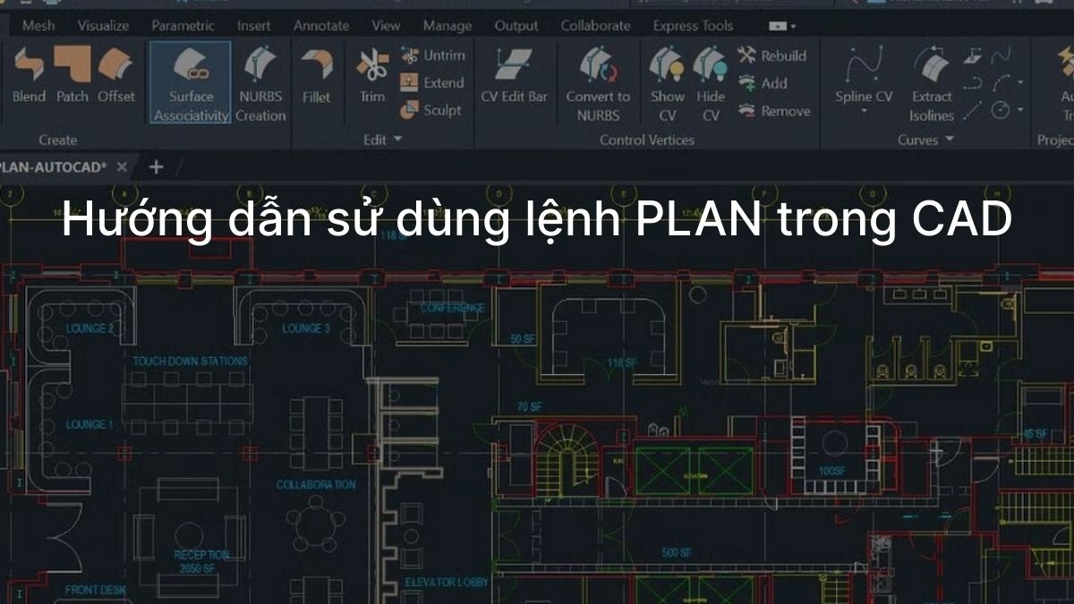 Hướng dẫn sử dùng lệnh PLAN trong CAD cho người mới học