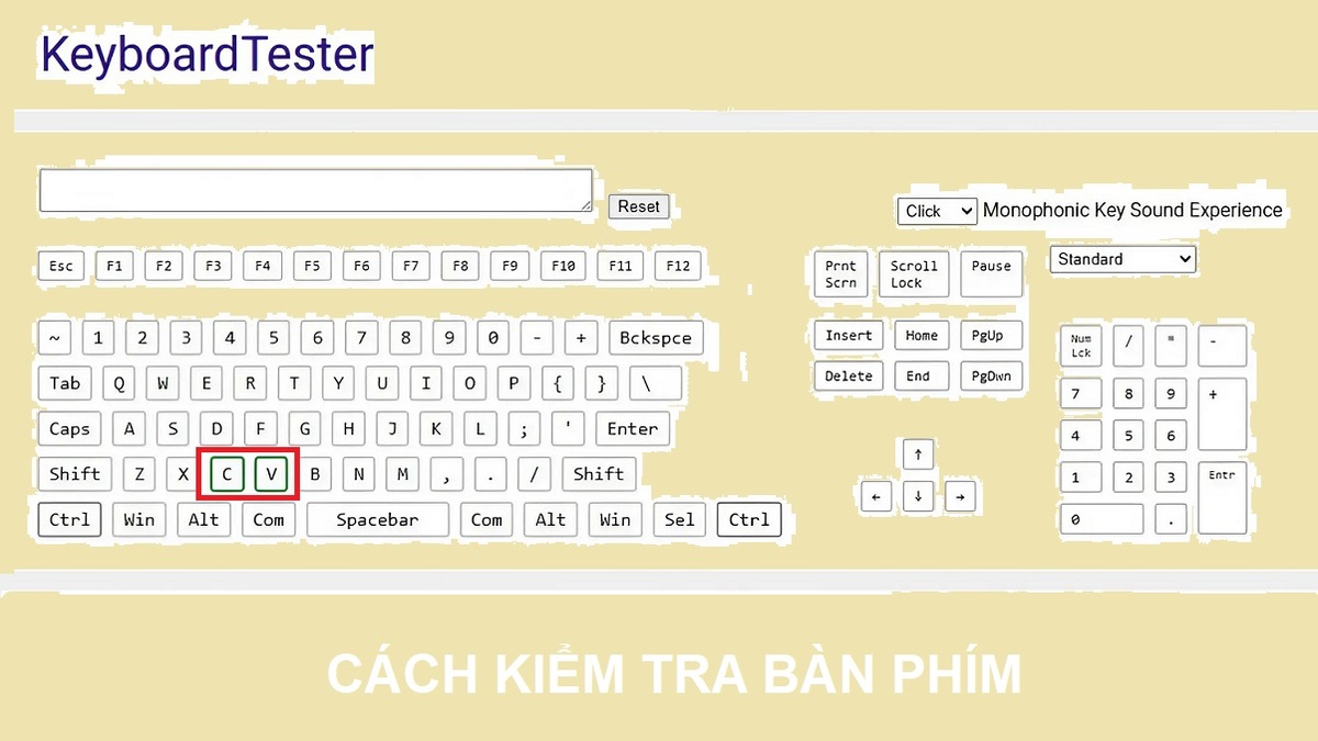 Cách khắc phục lỗi không Copy Paste được trong Excel 1