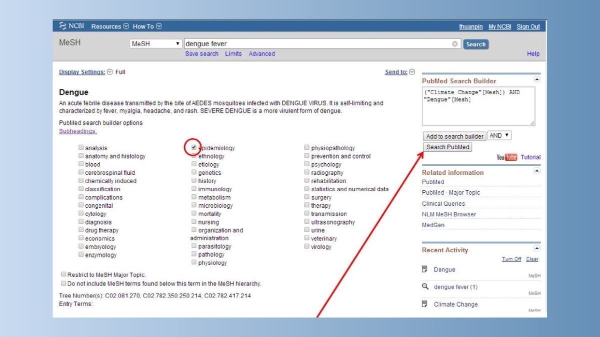Dùng bộ lọc tra cứu tài liệu y dược bằng PubMed 1