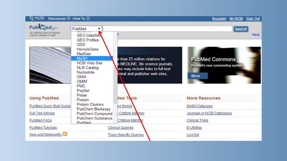 Tìm kiếm cơ bản bằng từ khóa PubMed