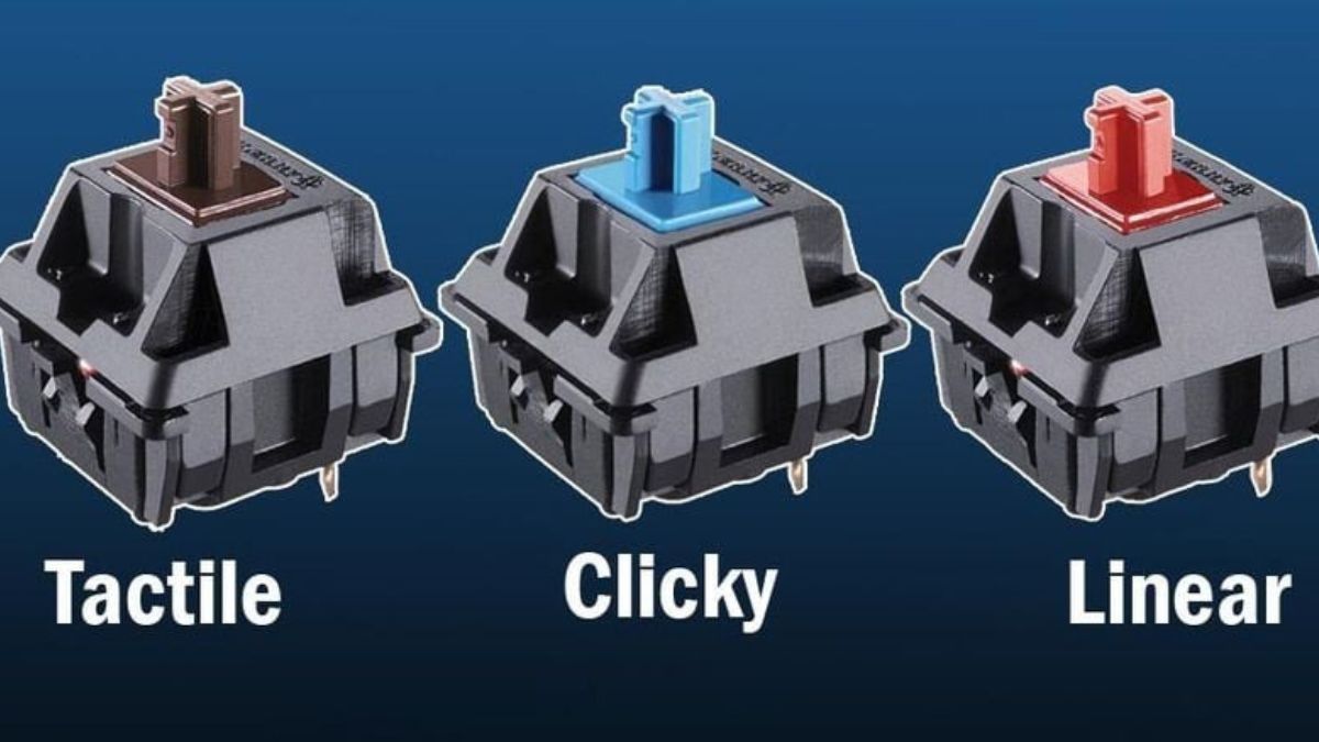 Phân biệt Switch Linear, Tactile và Clicky