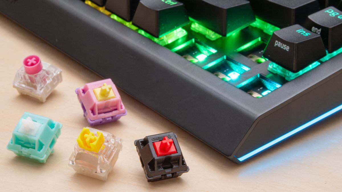 Switch Linear là gì? Phân biệt giữa Linear, Tactile & Clicky