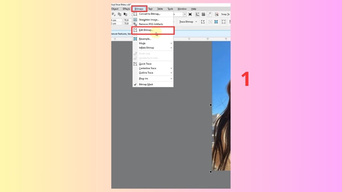 3 cách xóa nền trong Corel hiệu quả 1