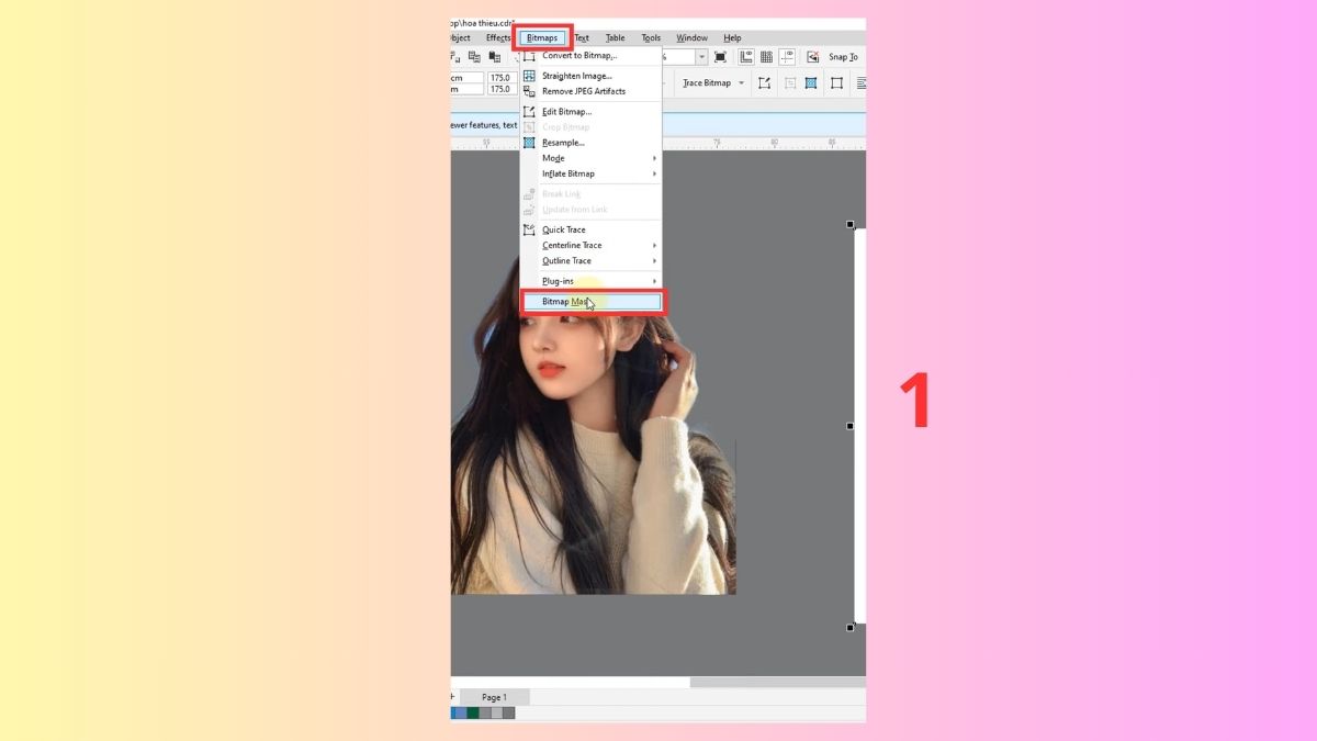3 cách xóa nền trong Corel hiệu quả 6