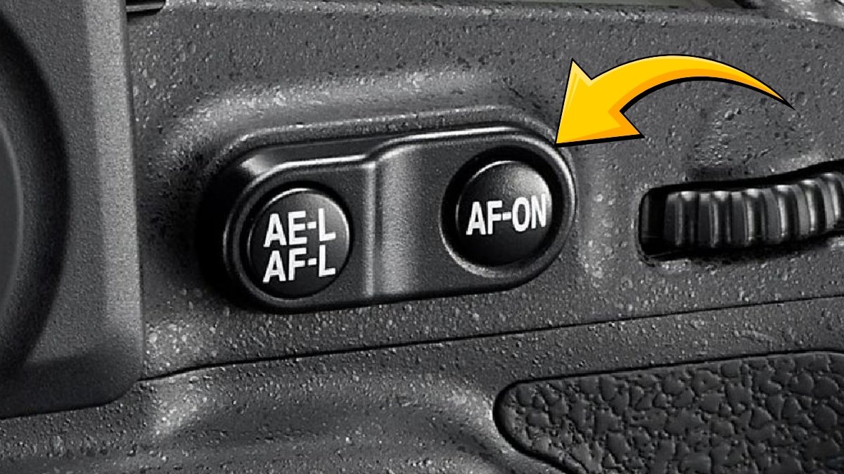 Auto Focus (AF) trong máy ảnh là hệ thống lấy nét tự động