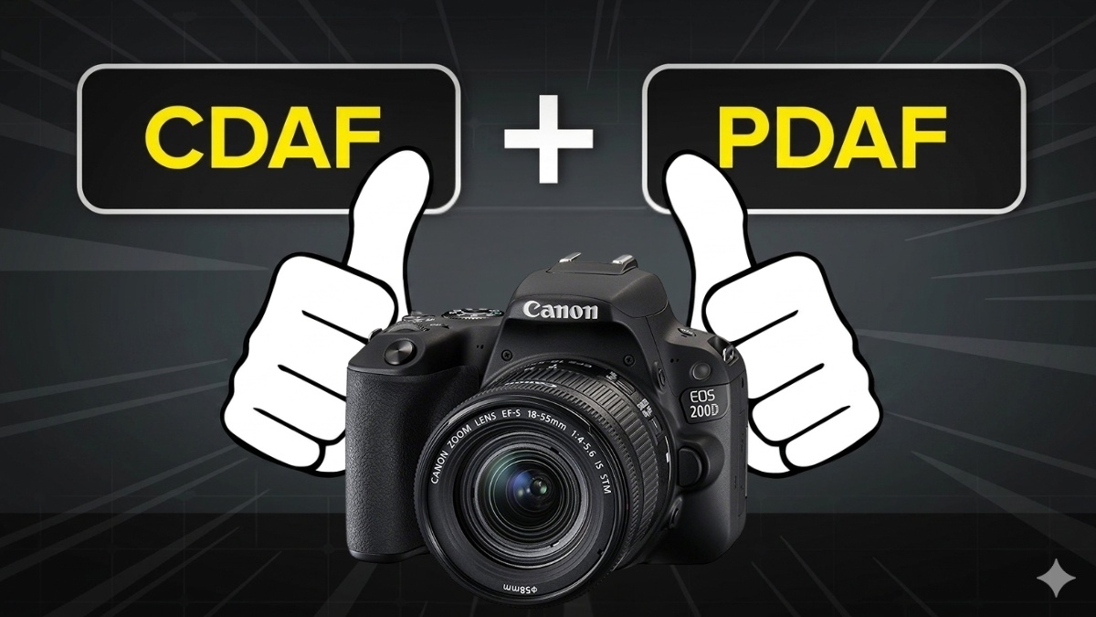 Cơ chế hoạt động của lấy nét tự động AF