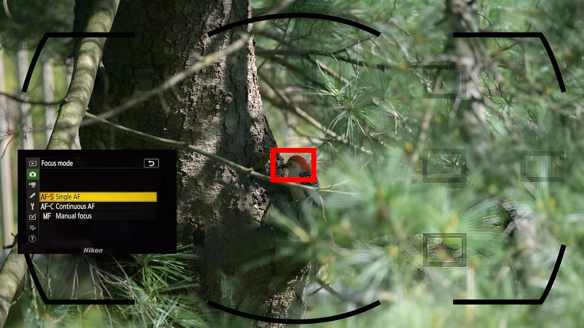 AF-S (Single AF) chế độ lấy nét tĩnh