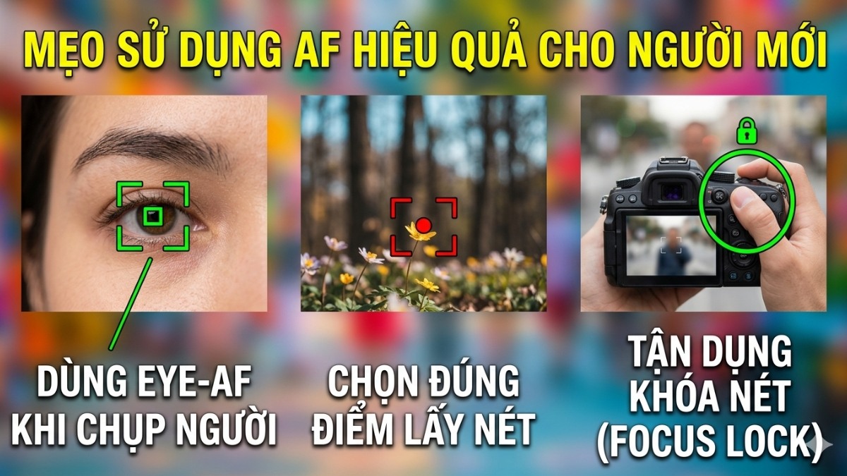 Mẹo sử dụng AF hiệu quả cho người mới