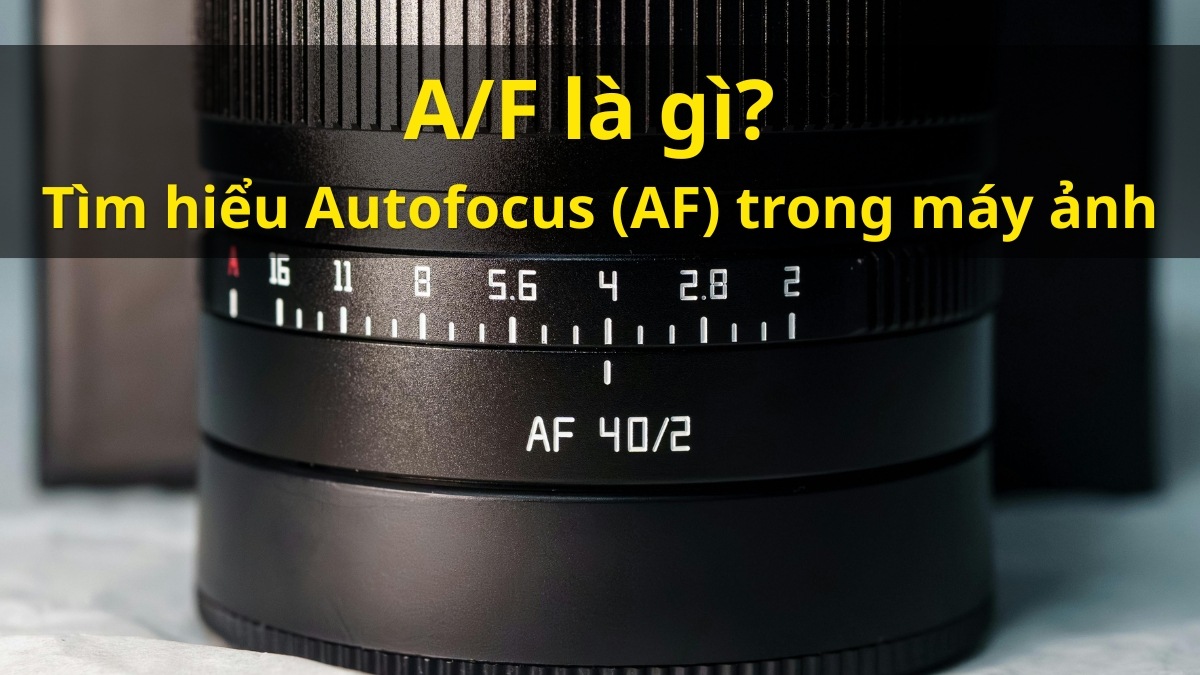 A/F là gì? Tìm hiểu Autofocus (AF) trong máy ảnh từ A–Z