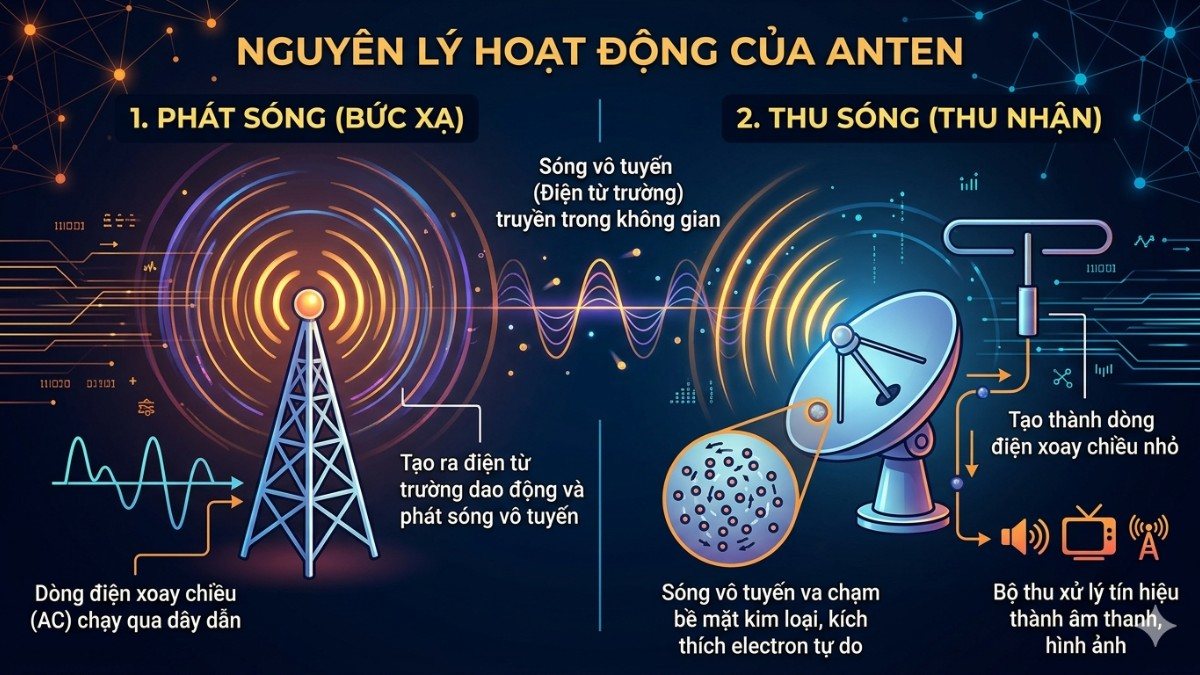 Nguyên lý hoạt động của anten