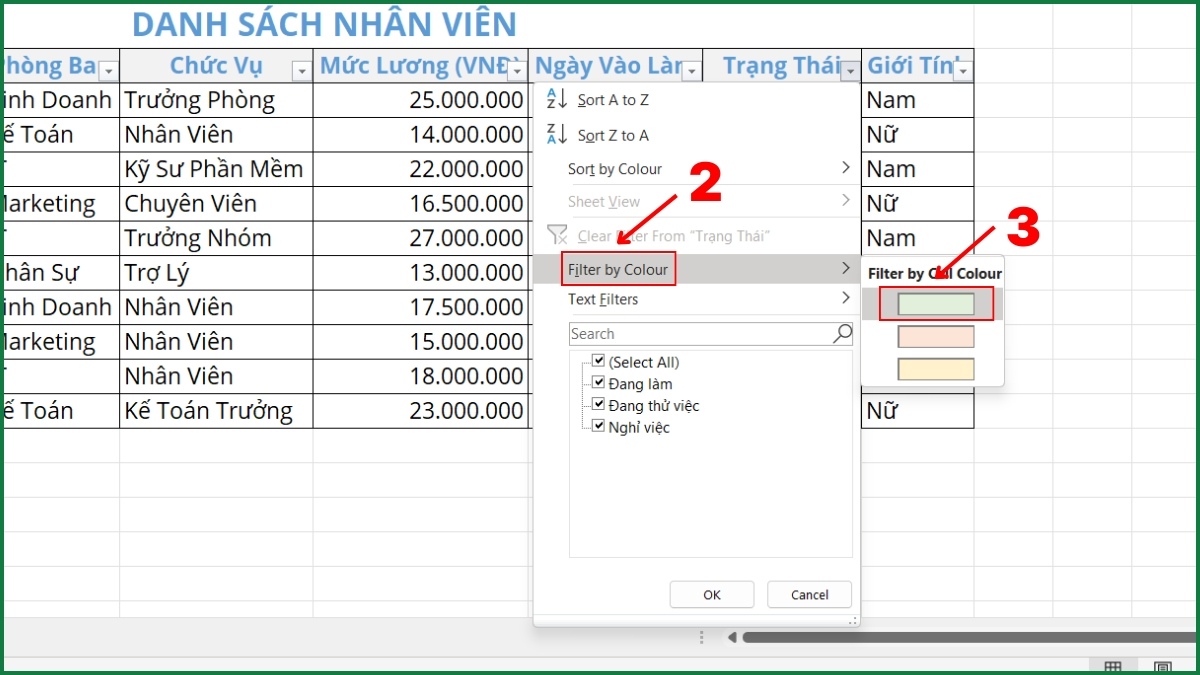 Cách sử dụng bộ lọc AutoFilter theo màu sắc bước 2