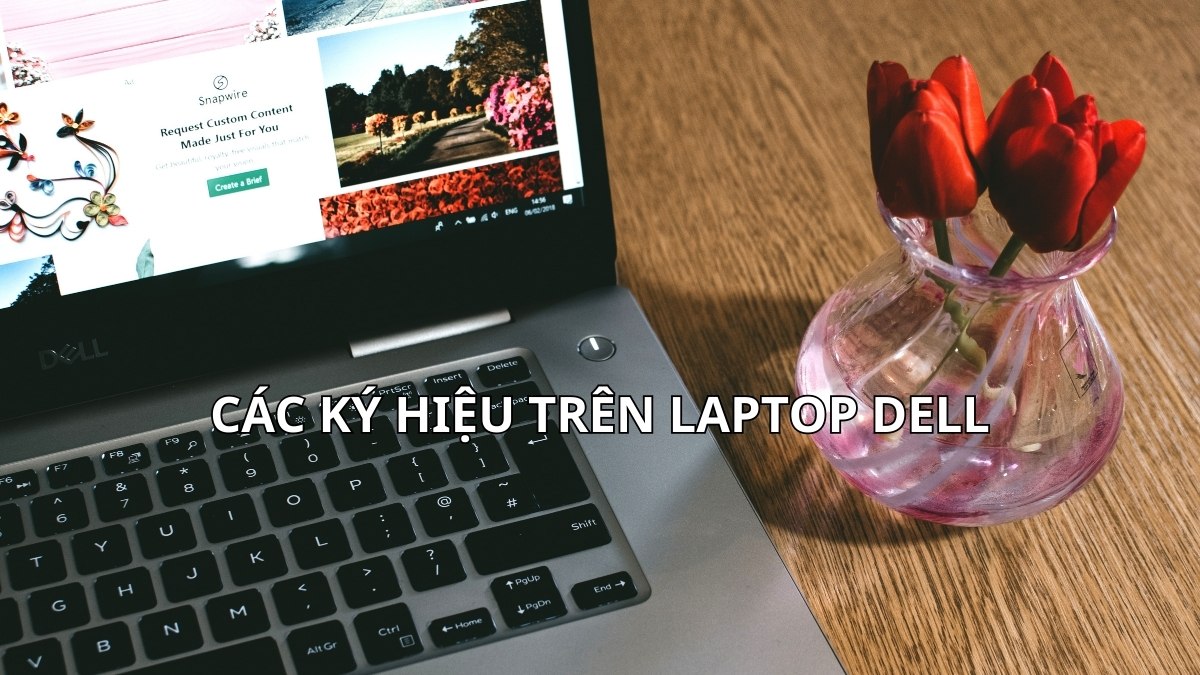 Tổng hợp các ký hiệu trên laptop Dell chi tiết, đầy đủ 2025