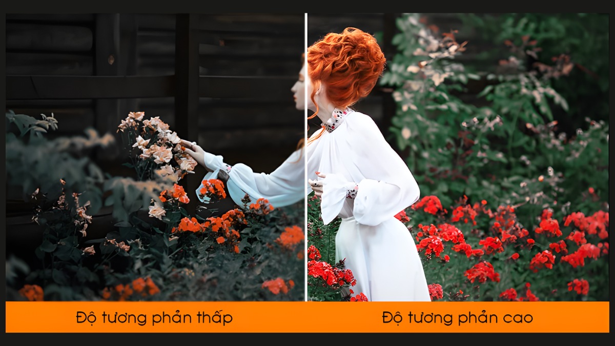 Nên ưu tiền những màn hình có chỉ số tỷ lệ tương phản cao