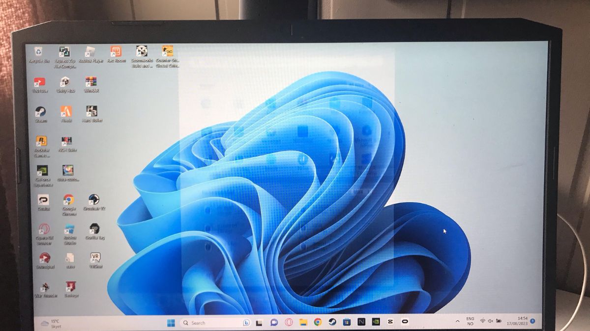 Màn hình laptop bị lưu ảnh