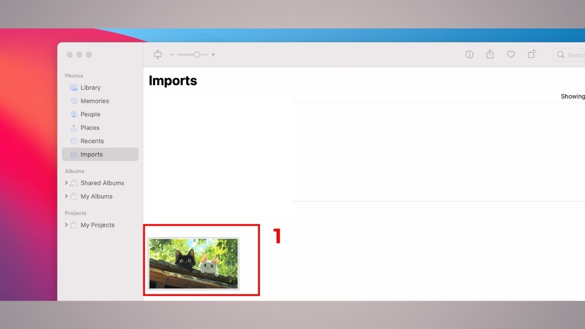 Cắt ảnh trên MacBook bằng ứng dụng Photos của Mac bước 1