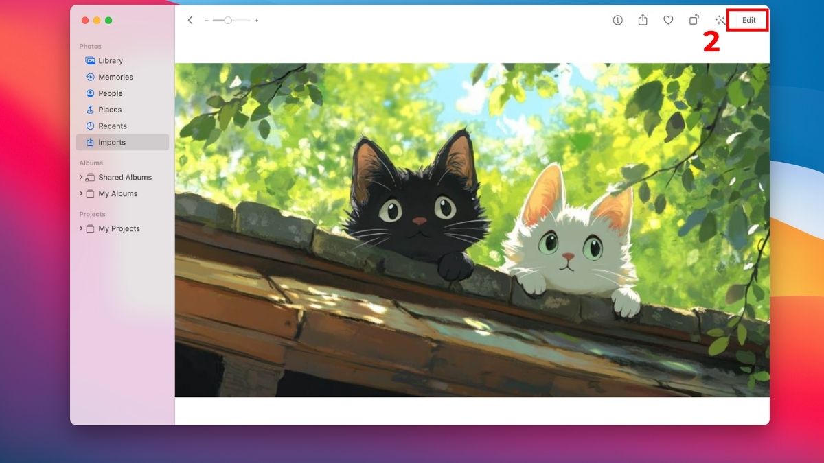 Cắt ảnh trên MacBook bằng ứng dụng Photos của Mac bước 2
