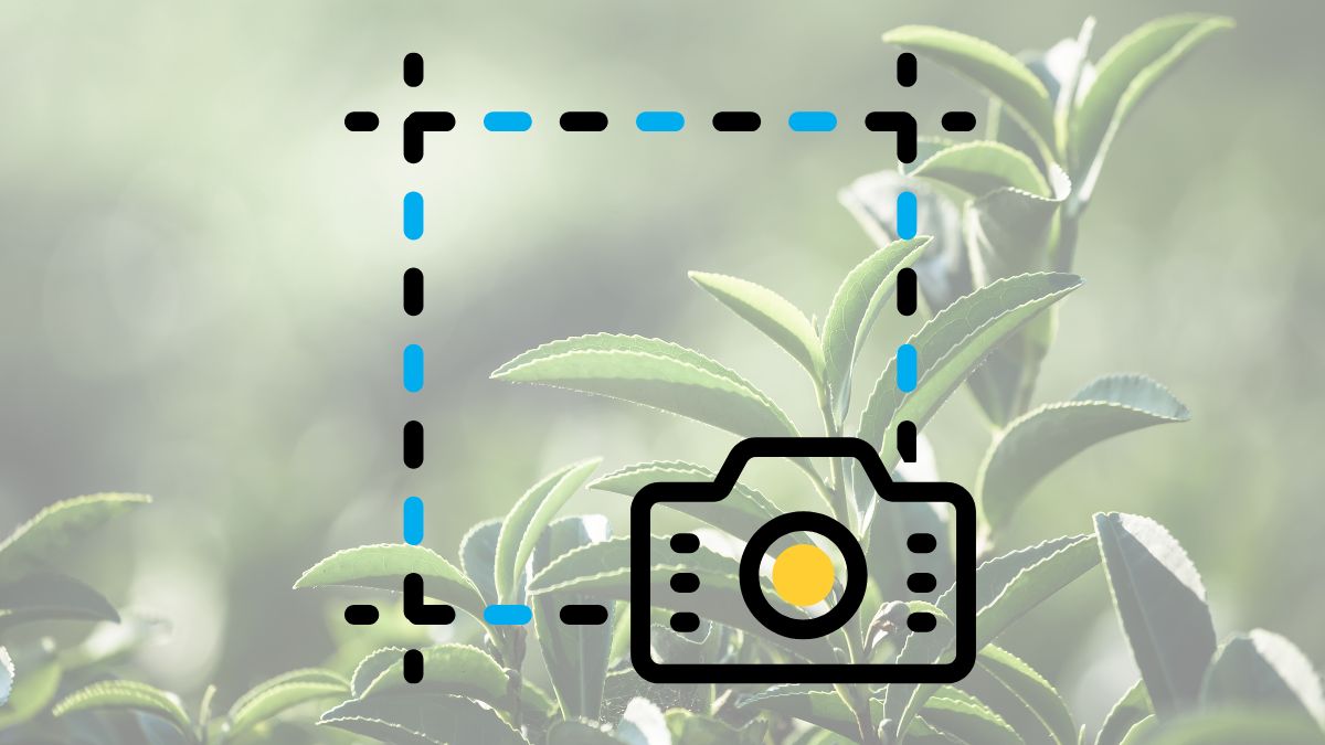 Mẹo cắt ảnh đẹp và không giảm chất lượng trên MacBook