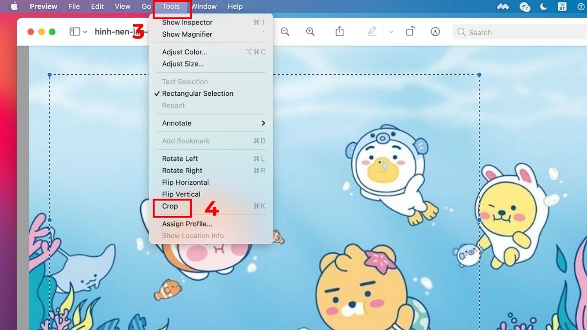 Tiến hành thực hiện thao tác cắt ảnh