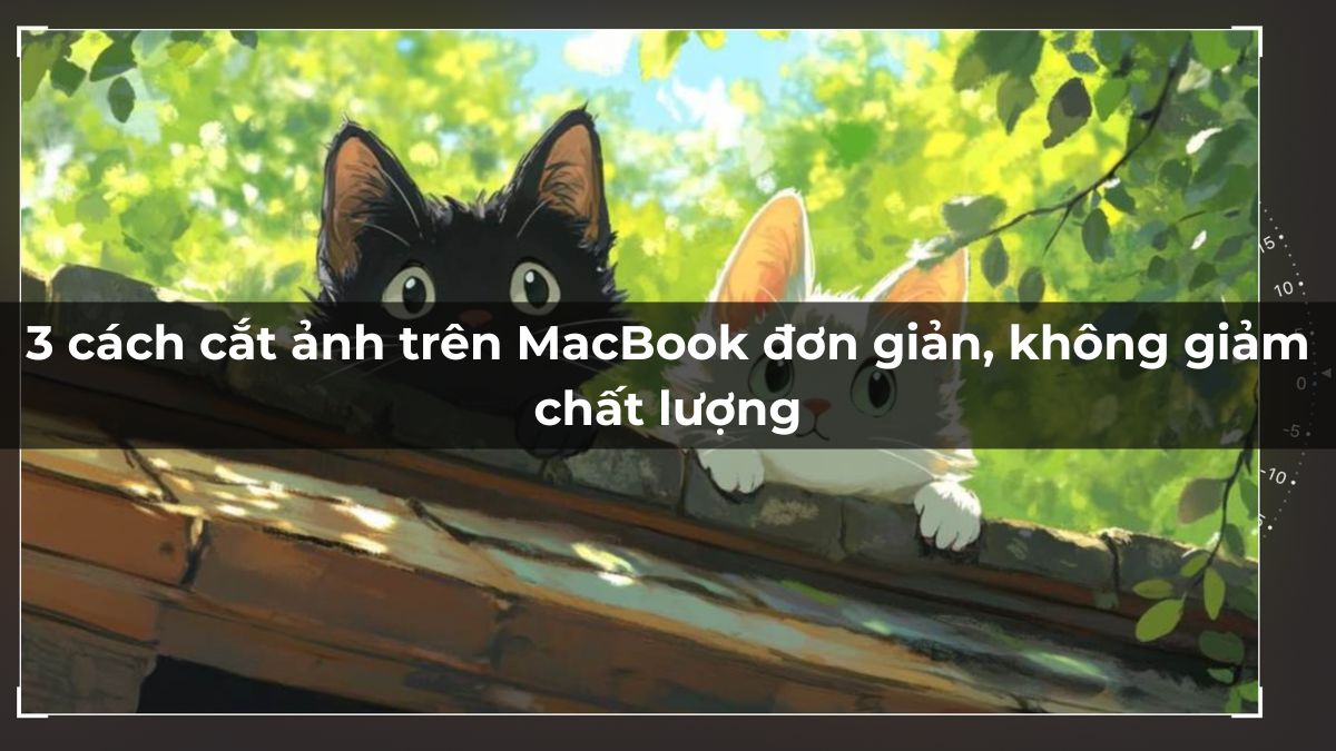 3 cách cắt ảnh trên MacBook đơn giản, không giảm chất lượng 3 cách cắt ảnh trên MacBook đơn giản, không giảm chất lượng
